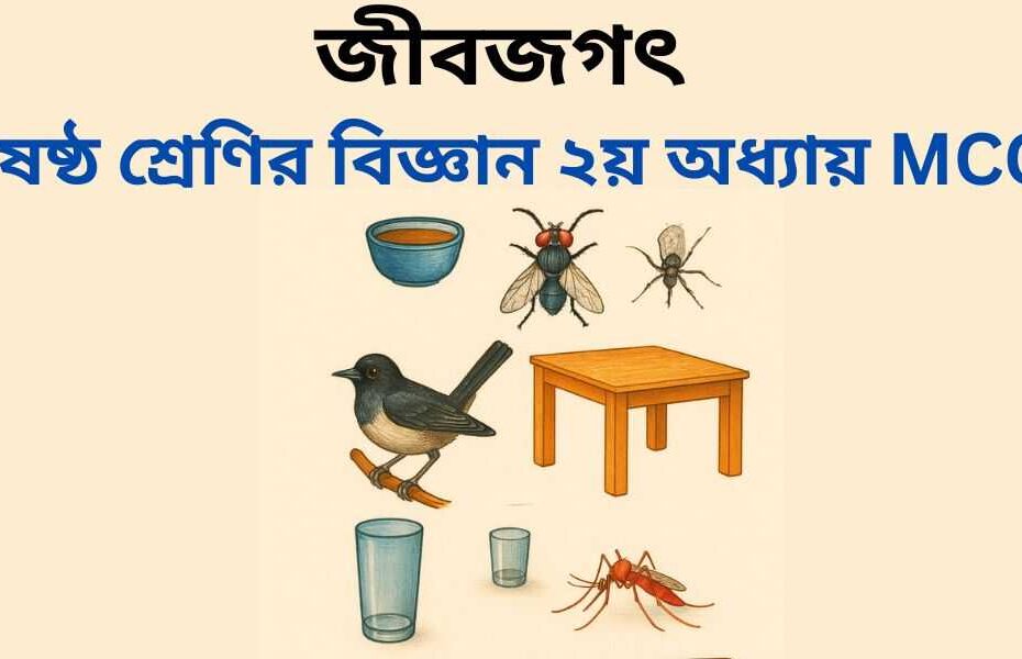ষষ্ঠ শ্রেণির বিজ্ঞান ২য় অধ্যায় MCQ | বহুনির্বাচনী