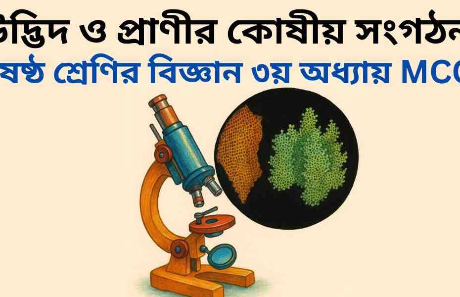 ষষ্ঠ শ্রেণির বিজ্ঞান ৩য় অধ্যায় MCQ | বহুনির্বাচনী প্রশ্ন