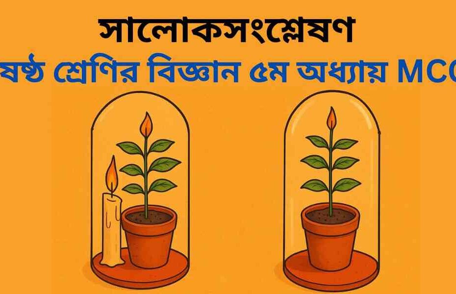ষষ্ঠ শ্রেণির বিজ্ঞান ৫ম অধ্যায় MCQ | বহুনির্বাচনী প্রশ্ন