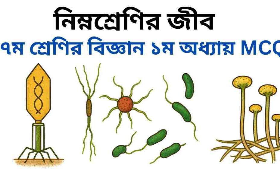 ৭ম শ্রেণির বিজ্ঞান ১ম অধ্যায় MCQ | বহুনির্বাচনী | নিম্নশ্রেণির জীব
