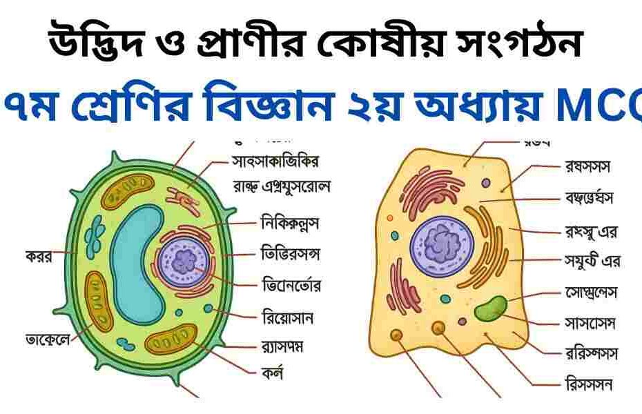 ৭ম শ্রেণির বিজ্ঞান ২য় অধ্যায় MCQ | বহুনির্বাচনী | উদ্ভিদ ও প্রাণীর কোষীয় সংগঠন