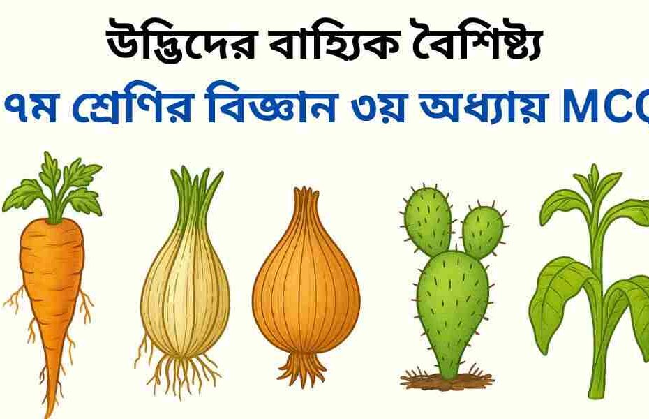 ৭ম শ্রেণির বিজ্ঞান ৩য় অধ্যায় MCQ | বহুনির্বাচনী | উদ্ভিদের বাহ্যিক বৈশিষ্ট্য