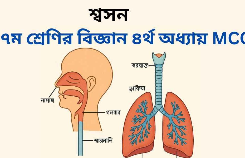 ৭ম শ্রেণির বিজ্ঞান ৪র্থ অধ্যায় MCQ | বহুনির্বাচনী | শ্বসন