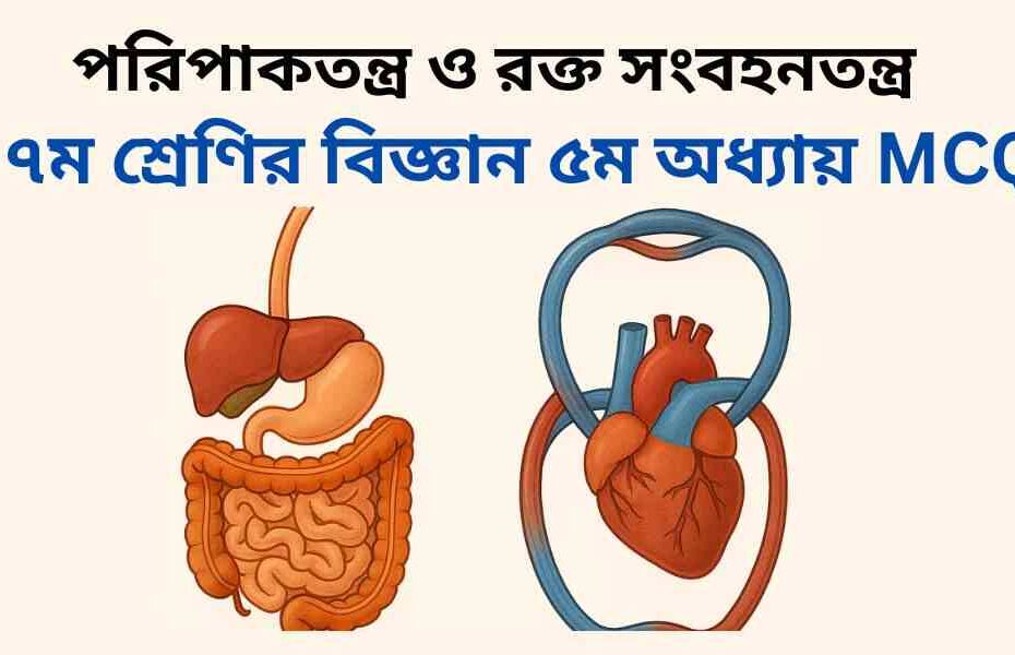 ৭ম শ্রেণির বিজ্ঞান ৫ম অধ্যায় MCQ | বহুনির্বাচনী | পরিপাকতন্ত্র ও রক্ত সংবহনতন্ত্র