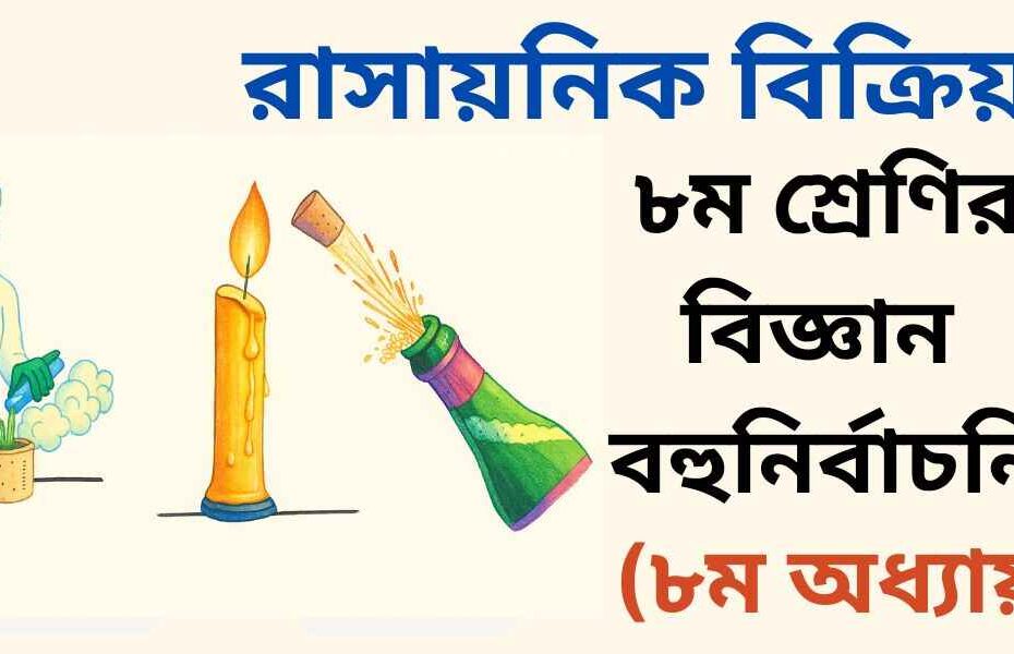 ৮ম শ্রেণির বিজ্ঞান ৮ম অধ্যায় বহুনির্বাচনি প্রশ্ন (MCQ)