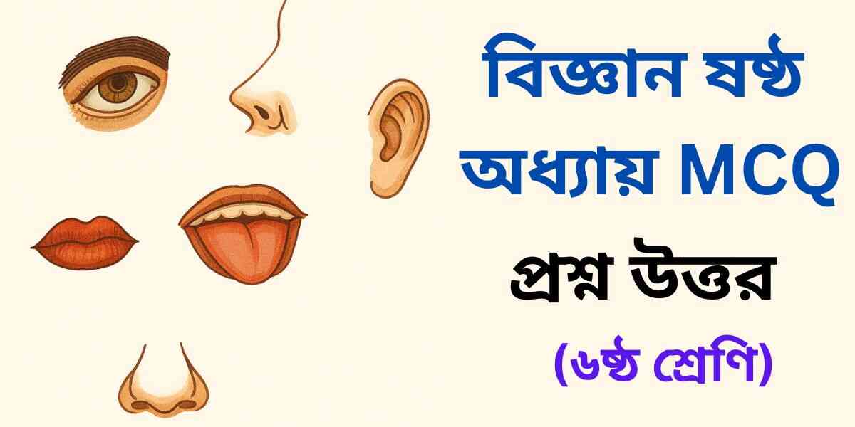 ষষ্ঠ শ্রেণির বিজ্ঞান ষষ্ঠ অধ্যায় MCQ | বহুনির্বাচনী প্রশ্ন